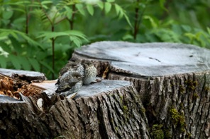 IMG_6760.jpeg